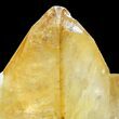 Sphalerite and Calcite - Elmwood Mine, Tennessee #89965-2